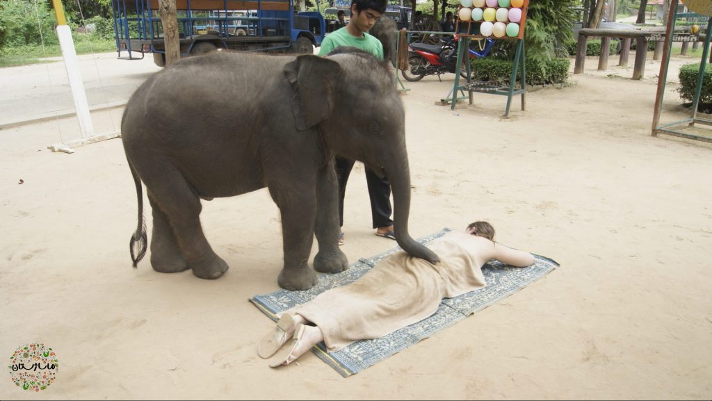 زن بر روی زمین دراز کشیده است و فیل و فیلبان در حال ماسااژ او هستند. زن خود را با حوله ای پوشانده است