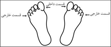 وجوه خارجی و داخلی پاها در ماساژ رفلکسولوژی