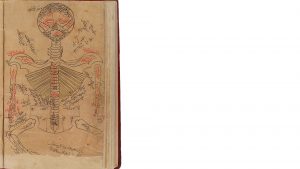 آناتومی اسکلت بدن انسان در کتاب قانون توسط ابن سینا ممورد استفاده در ماساژ